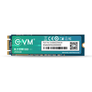 EVM 256GB M.2 SATA SSD 2280, High-Speed Internal Solid State Drive for Desktop & Laptop Computers