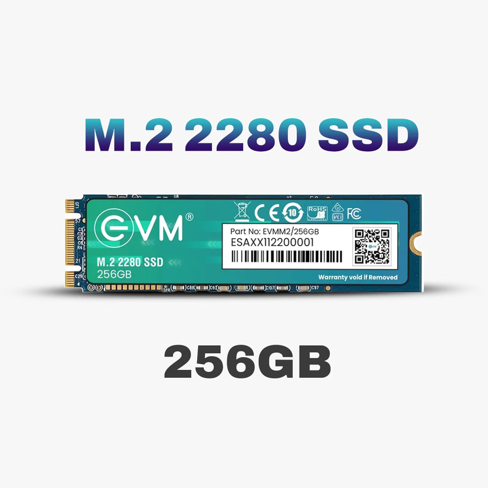 EVM 256GB M.2 SATA SSD 2280, High-Speed Internal Solid State Drive for Desktop & Laptop Computers
