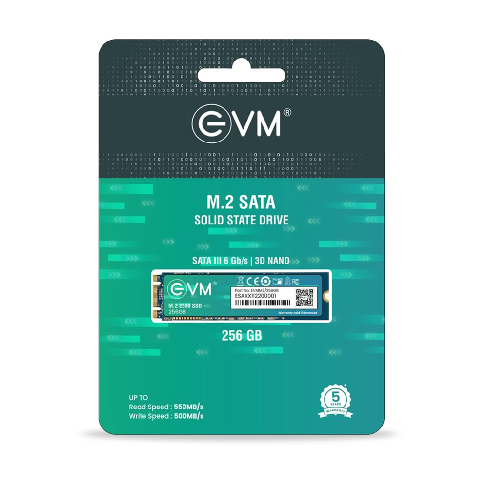 EVM 256GB M.2 SATA SSD 2280, High-Speed Internal Solid State Drive for Desktop & Laptop Computers