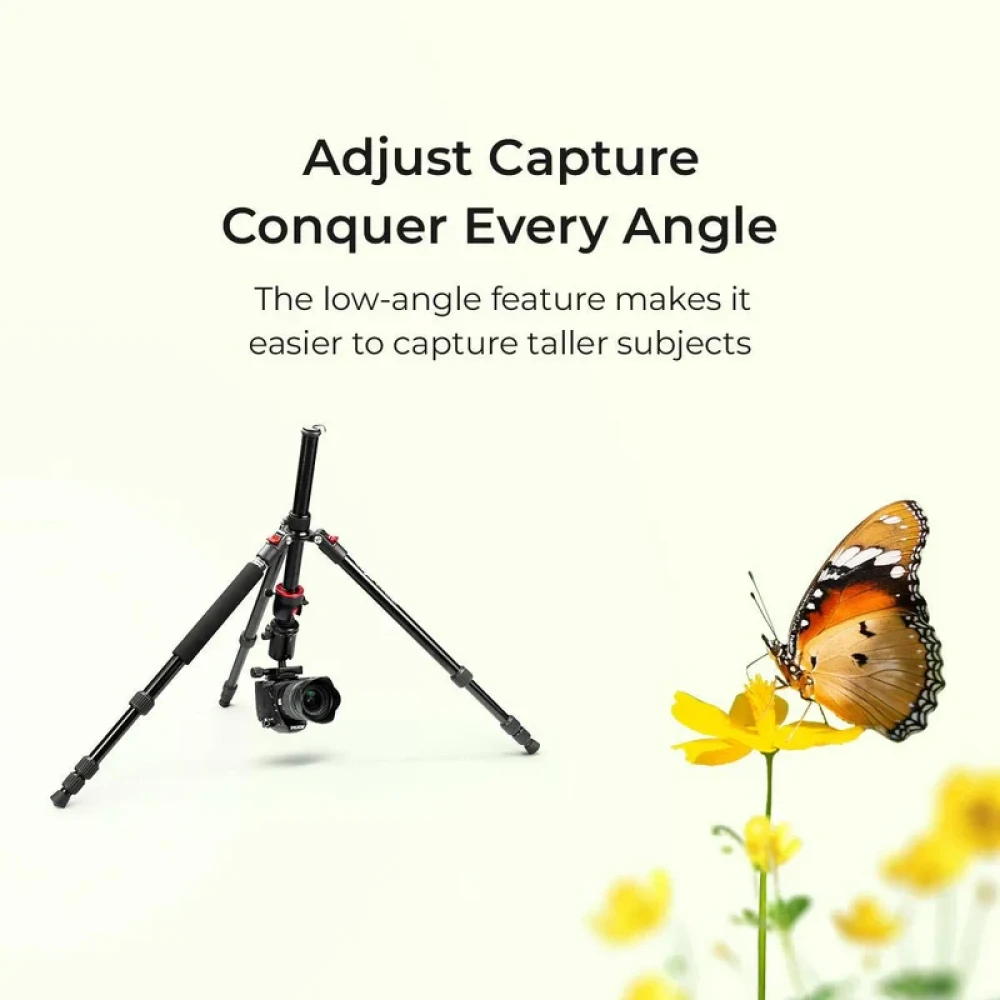 Digitek (DTR 520 BH) 152CM Foldable Aluminum Tripod Cum Monopod with Swivel Pan Head, 4 Section Adjustment, 7kg Max Load, Max Operating Height: 4.95Ft, Compatible with DSLR Camera, Dv Video C