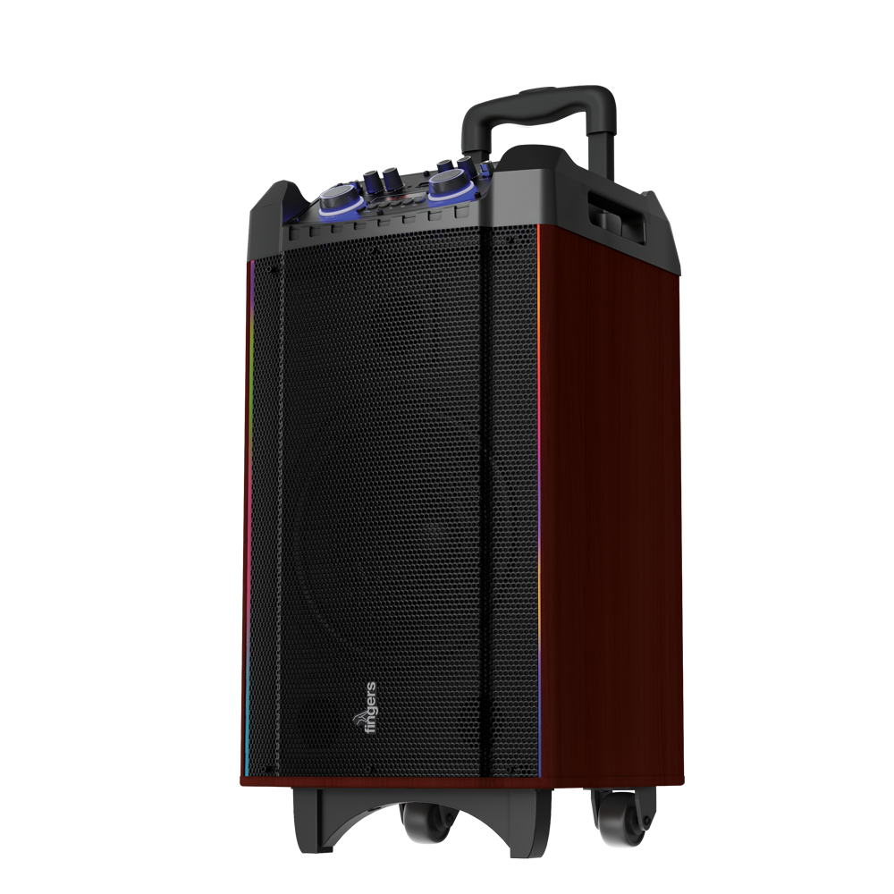 Rolling parties woodsound-81 70W Powerfull Wood Sound Speaker